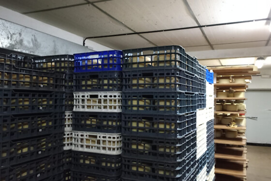 QUESERIA DE CASTILLA - photo 6