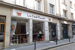 Le chat puccino