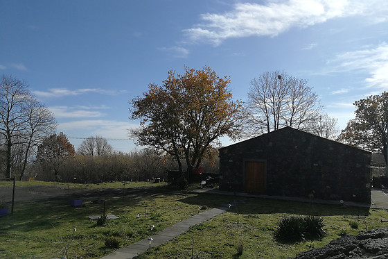 Agriturismo Viola Nel Parco - photo 0