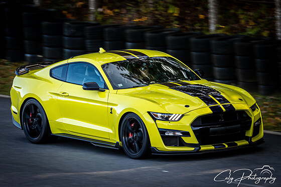 Découverte Ford Mustang Shelby GT500 (6 tours) sur le Circuit des Ecuyers (02)