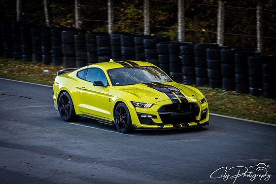 Découverte Ford Mustang Shelby GT500 (6 tours) sur le Circuit des Ecuyers (02)