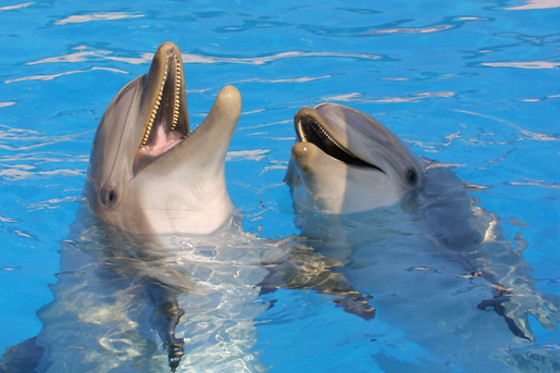 Marineland Hôtel - photo 1
