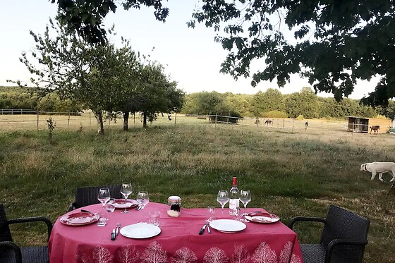 Séjour à deux en gîte chez Éco-Domaine Équin à Les Salles-de-Castillon (33)