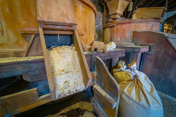 MOLINO DEL GOFIO - photo 2