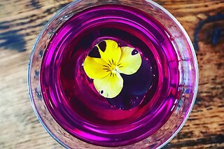 Apéritif en duo chez le Calbar à Paris (75012)