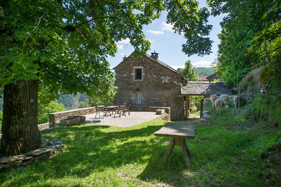Magnanerie du Serre - photo 19