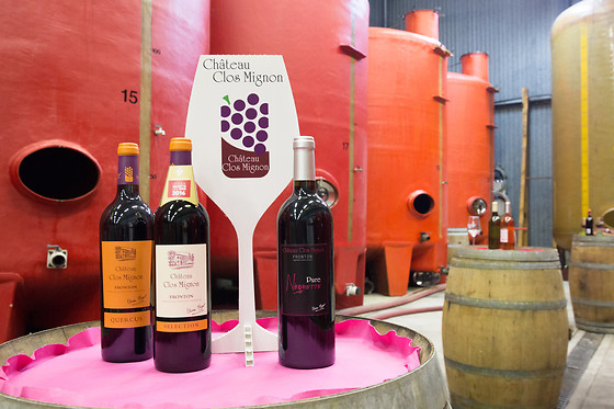 Atelier d'œnologie au Château Clos Mignon à Villeneuve-les-Bouloc (31)