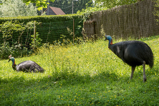 Entrée groupe au zoo - Parc zoologique de Maubeuge - Maubeuge (59)