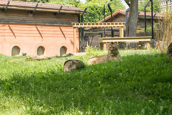 Entrée groupe au zoo - Parc zoologique de Maubeuge - Maubeuge (59)