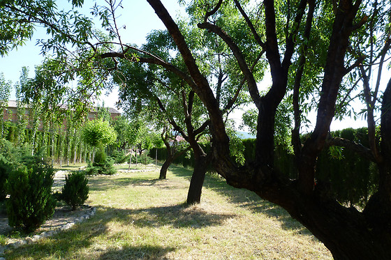 CASA RURAL EL GAITER - photo 9