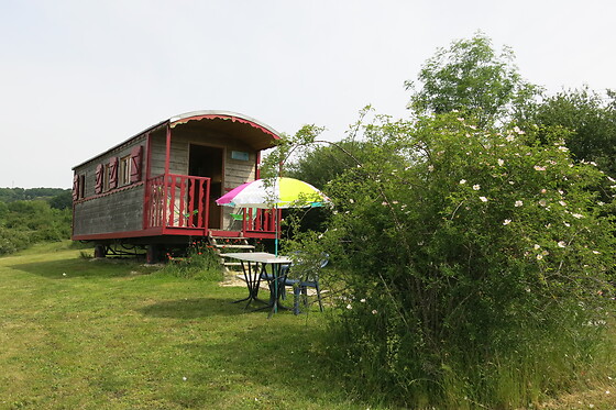 La Grande Savane - photo 1