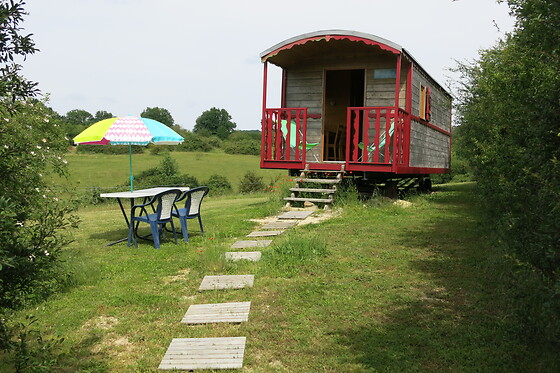 La Grande Savane - photo 3