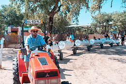 Vila do Gin – Parque temático Black Pig