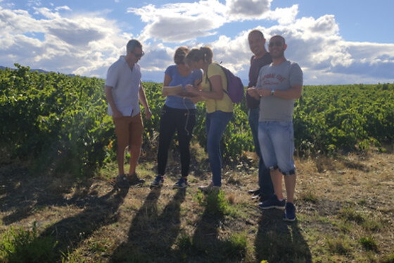 Escape game dans la nature à 4 - Vino Enigma - Saint-Paul-de-Fenouillet (66)