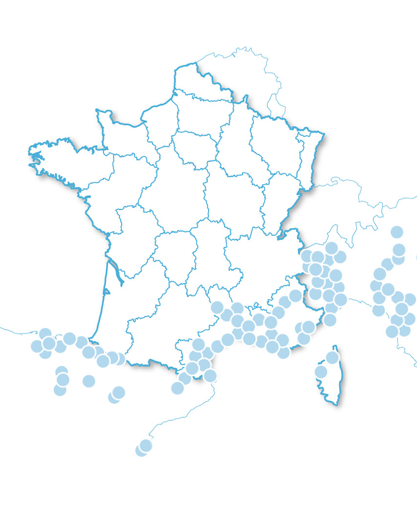 Séjour en Méditerranée