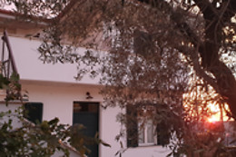 B&B Il Falco e l'Ulivo
