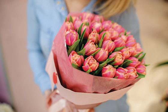 6 mois de fleurs