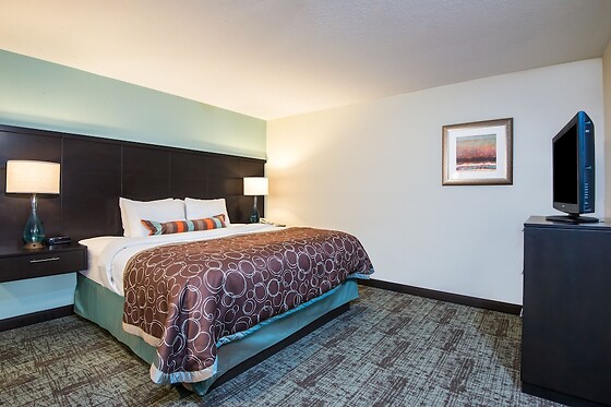 Online Booking EPS - photo 5