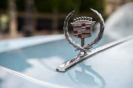 Cady Cruise