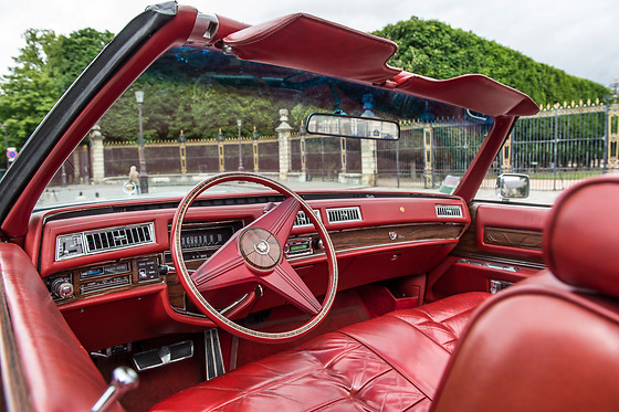Cady Cruise - photo 16