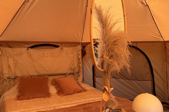De Witte Merel & Hotel at home - photo 25