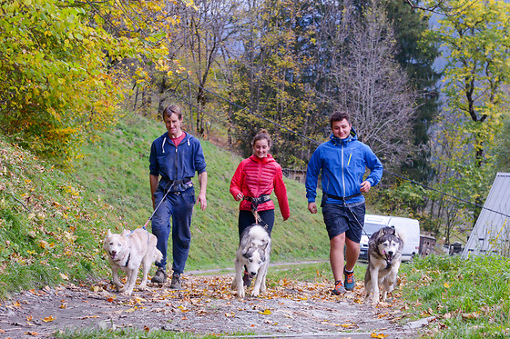 Elevage canin du clos de la vallée blanche - photo 2