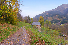 Elevage canin du clos de la vallée blanche