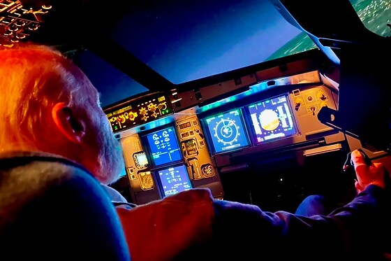 Dream Flight Simulator - photo 2