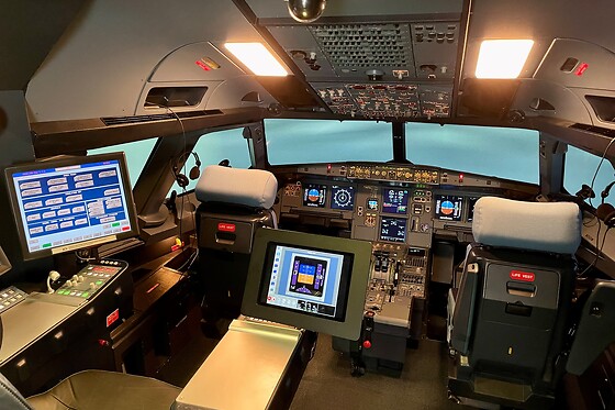 Dream Flight Simulator - photo 5