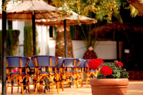 HOTEL ANTIGA - photo 27