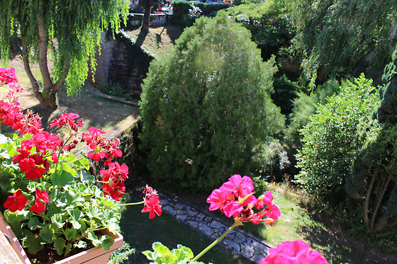 La Terrasse - photo 3