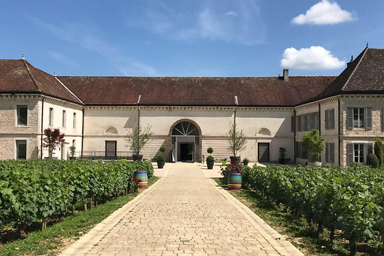 Dégustation à 2 au Domaine Famille Picard à Chassagne-Montrachet (21)