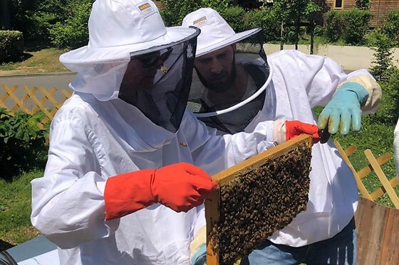 Stage journée apiculture à Pessac près de Bordeaux (33)