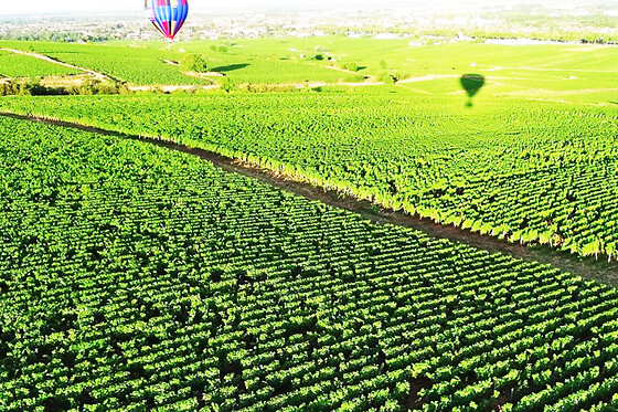 Vol en Montgolfière à Beaune (21) - Tarif Duo - Semaine, week-end et jours fériés