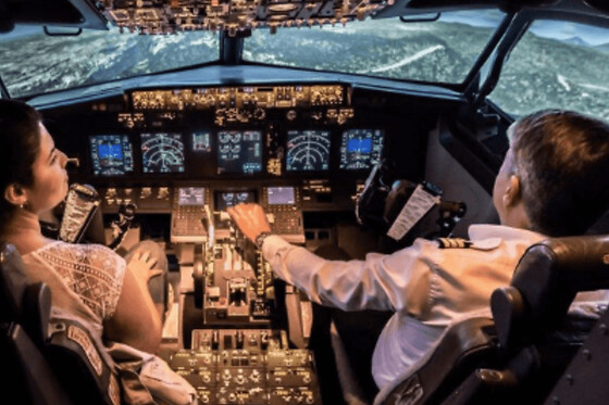 Simulateur de vol d'avion de ligne Boeing 737 à Pontoise (95) - Offre 2