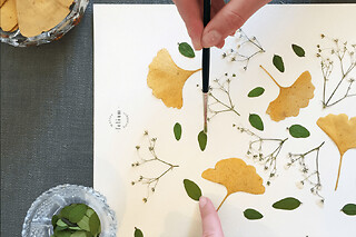 Atelier pressage de fleurs et composition d'herbier à Marseille