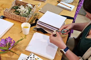 Atelier création d'herbier à Noyal-Châtillon-sur-Seiche (35)