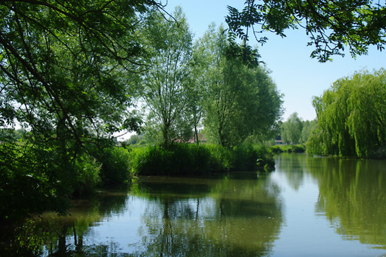 O marais - photo 2