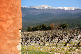 VMV Vignerons du Mont Ventoux