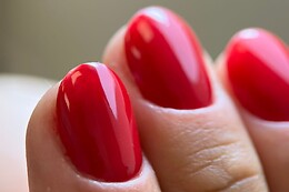 Fifty Shades of Beauty