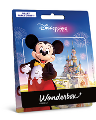 Carte Disneyland® Paris Mickey