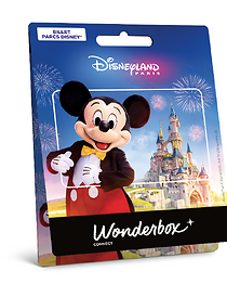 Carte Disneyland® Paris Mickey