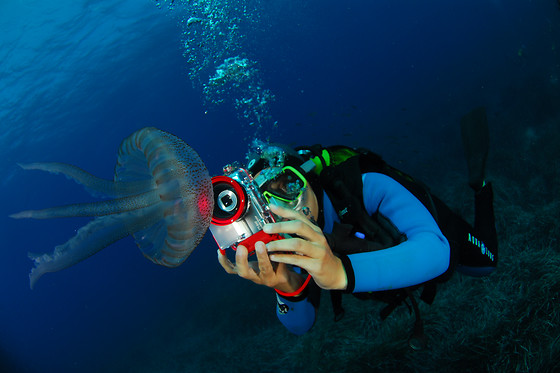 Aqua Evasion - photo 11