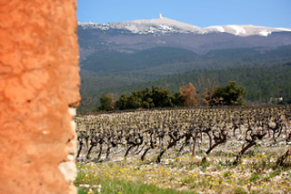 Atelier d'oenologie pour 4 chez les Vignerons du Mont Ventoux à Bedoin (84)
