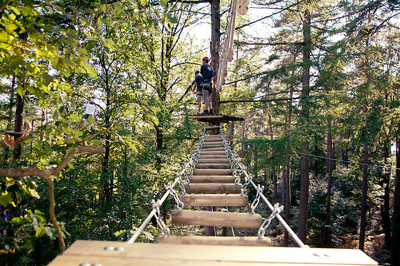 Parc Forestia - photo 8