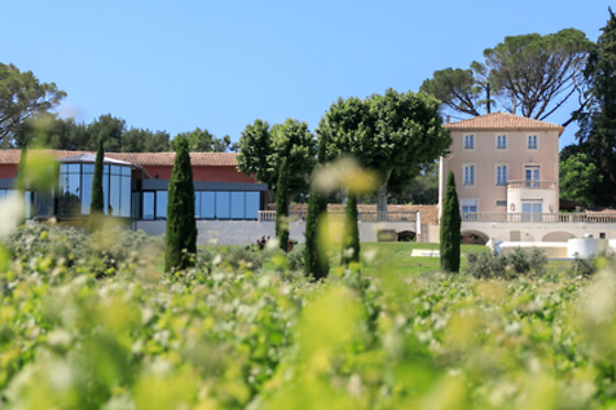 Jeu de piste, visite du chai et dégustation de vin en duo - Château De La Roque Forcade - Peypin (13)