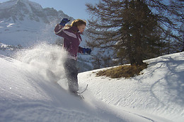 Bureau Montagne Mélézin - GEC