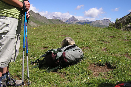 RANDO PASSION - photo 17