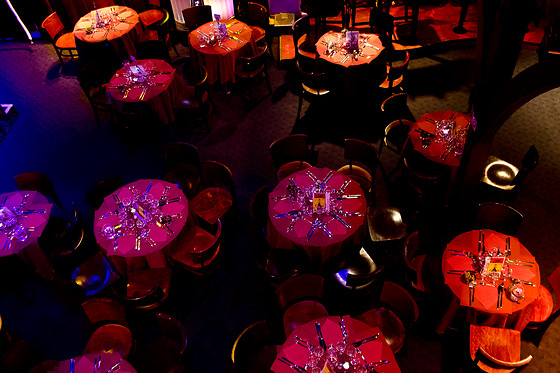 Cabaret Cirque Le Zèbre - photo 6