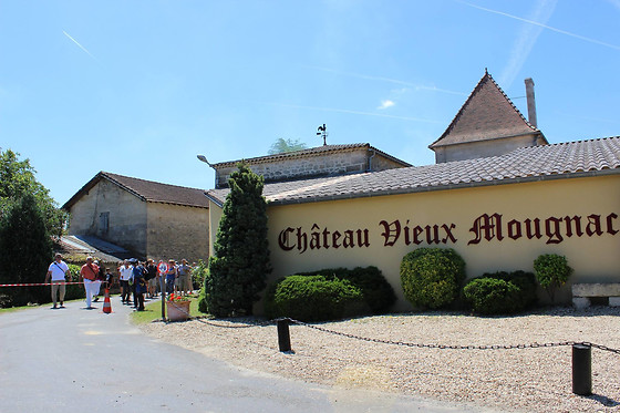 Atelier d’œnologie en groupe au Château Vieux Mougnac à Lussac (33)